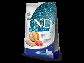 NogD Ocean Salmon Codfish, Cantaloup Melon - Mini adult - 7 KG 